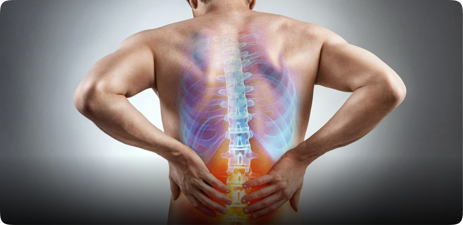 Low Back Pain